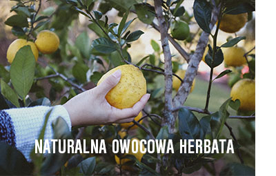 richmont czarny bez truskawki jerzyny herbata w saszetkach