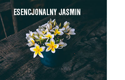 smak jasminu w zielonej herbacie richmont